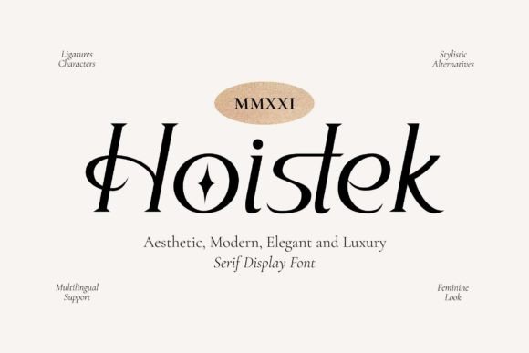 Hoistek: A Designer’s Review of the Serif Display Font for Campaigns